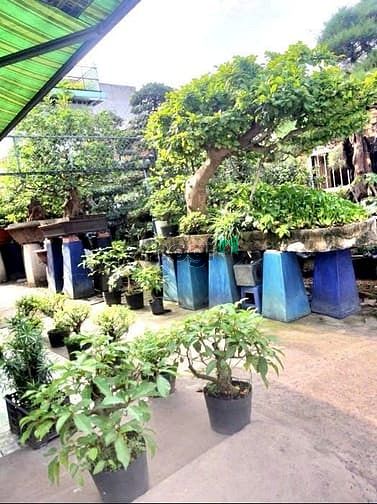 nhà 2 tầng cũ, ngang to 10m,xây biệt thự, hẻm 6m ngay phan huy ích, 13