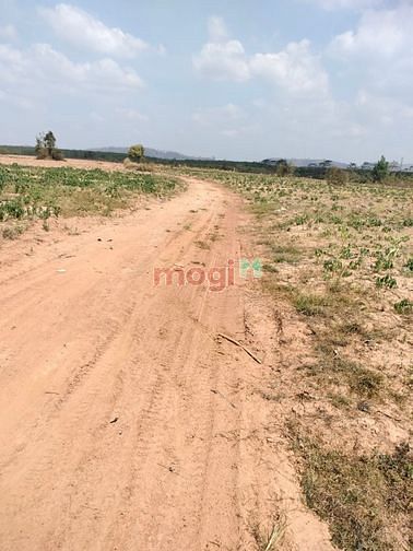 Cần bán 2h đất nông nghiệp tại Ea Huar Buôn Đôn có suối, đất bằng pẳng