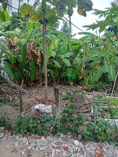 Cho thuê Đất gần Lương Định Của P. Bình An Q2, 252m2, đường 12m
