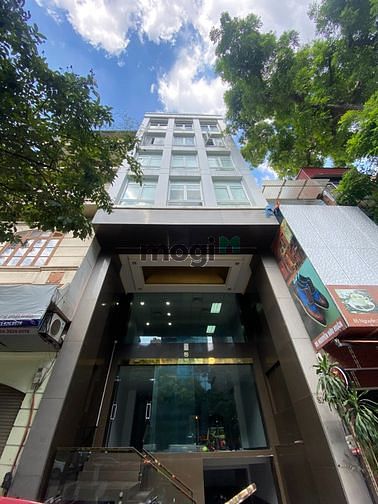 Cho thuê MBKD phố Lạc Trung 120m2 x 5T. MT 6M. Khu vực sầm uất.