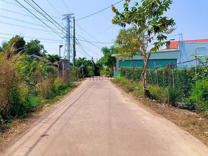 QUÁ NGỘP! Chủ tiếp tục hạ thêm 200 triệu. 3 sào đất Vườn SHR gần KCN