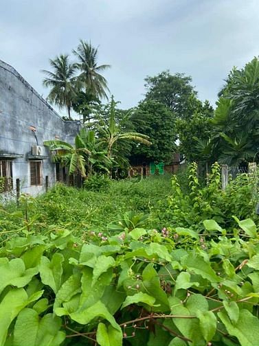 BÁN ĐẤT  ĐẸP TUYẾN ĐƯỜNG HOA HIỆP TÂN tại xã Hiệp Tân , Hoà Thành TN