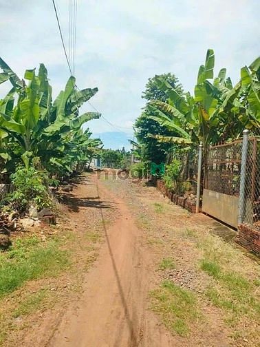 Cần Tiền bán lô đất Thổ cư, xã Thanh Bình, huyện Trảng Bom