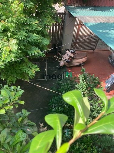 Cho thuê tầng 1 và sân vườn tiện làm cafe, văn phòng
