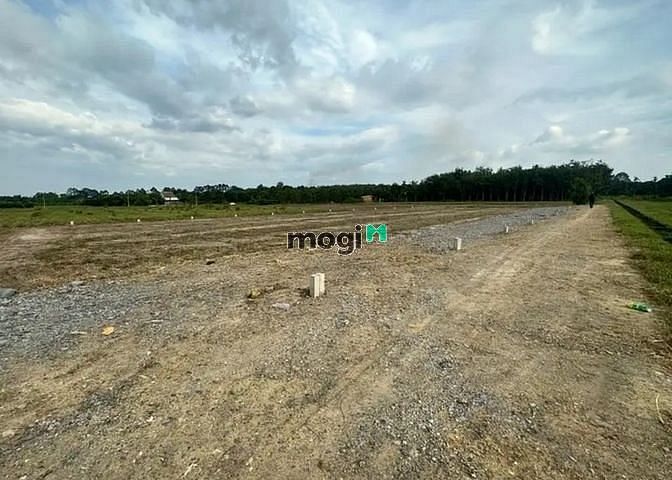 MUA NHANH BÁN LẸ ĐẤT Bến Chò, Hiệp Thạnh, Gò Dầu 128m²