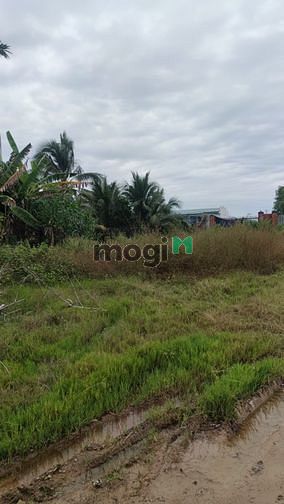 Bán 7 LÔ SẴN SỔ trong KDC, kế cận KCN giá:269 Tr/lô Gò Dầu - Tây Ninh