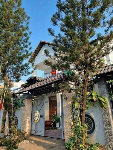 Biệt thự 265m2 phường Tân Tiến cách Nguyễn Ái Quốc 200m; giá còn 9 tỷ