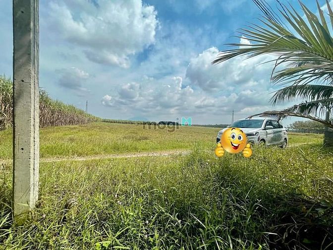 Cần bán nhanh đất SHR, góc L HXH, ko lộ giới, thuộc ấp Sa Nghe, An Cơ,