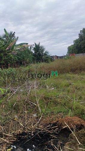 Còn sót 2 lô đất 170m2/lô, ngay Gò Dầu, full thổ, Giá ra đi 350tr. Sổ