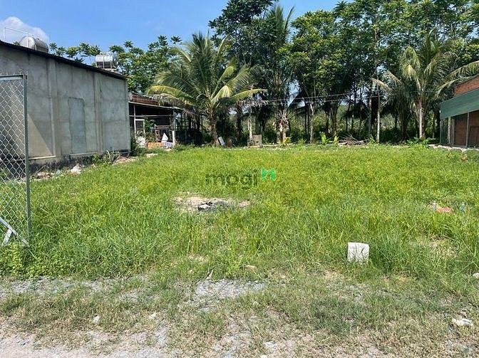 BÁN ĐẤT Lộc Ninh Trảng Bàng Tây Ninh 160m2 giá 560tr