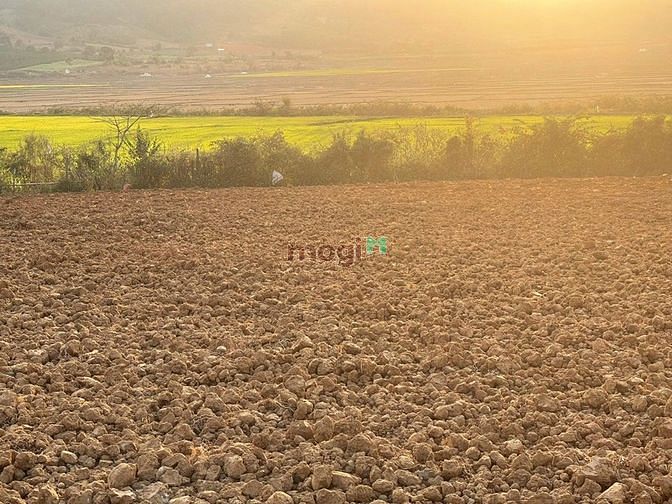 ? ? ? Cần tiền nên bán gấp lô đất 50m mặt tiền tại Kambute - Tu Tra