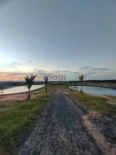 Bán nhanh lô đất view biển 5773m2 Bình Thạnh, kế bên farmstay hiện hữu