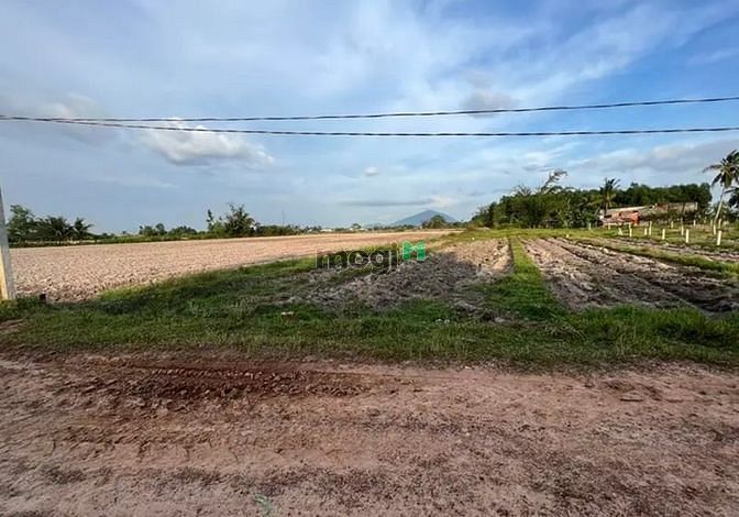 Đất đẹp giá đẹp Thái Bình, Châu Thành   ❌Hết đất chỉ 255tr - Cách trun