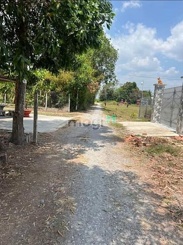 Chủ cần tiền giải quyết công việc bán gấp lô đất tại Gò Dâu Tây Ninh