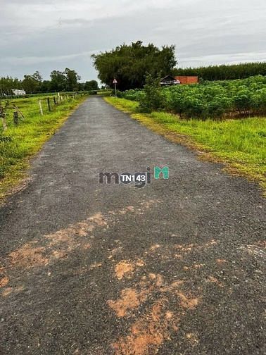 DEAL HỜI Lô 200m2 Chỉ 560 tại Gia Lộc TX Trảng Bàng SHR