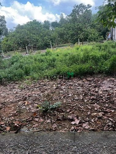 Khu phố 4 Thị Trấn Tân Biên. Mặt tiền bê tông thông 2 đầu. Cách QL 22B