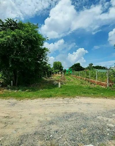 Đất của ông a e cần bán gấp thuộc TX Hòa Thành TN Dt: 5x29 thổ cư 50m2