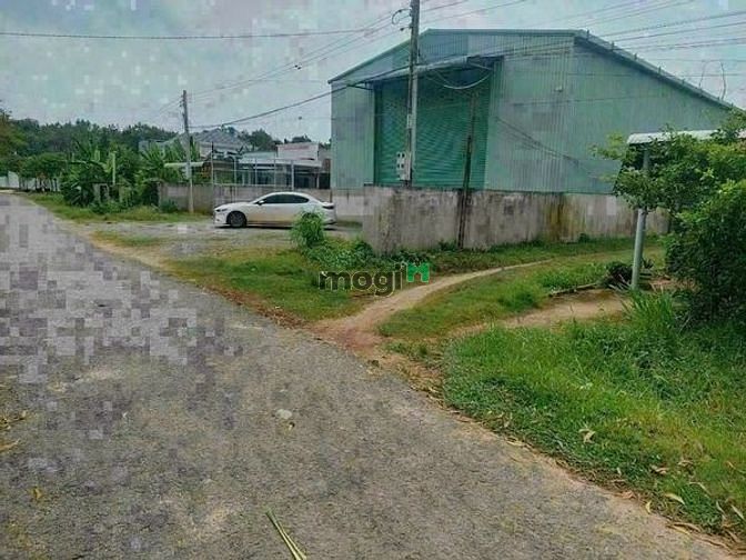 CẦN TIỀN BÁN ĐẤT  Suối Cao Gò Dầu Tây Ninh hơn 300m²
