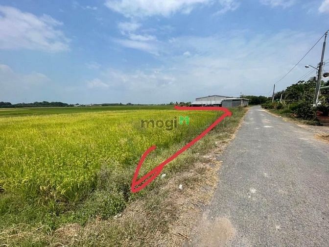 NGỘP BANK BÁN Gấp 150m2 xã Long Khánh Bến Cầu chỉ 460tr SHR