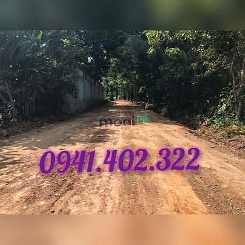 Đất vườn vùng ven tp hcm, 1000m2 sổ sẵn, cam kêt lợi nhuận
