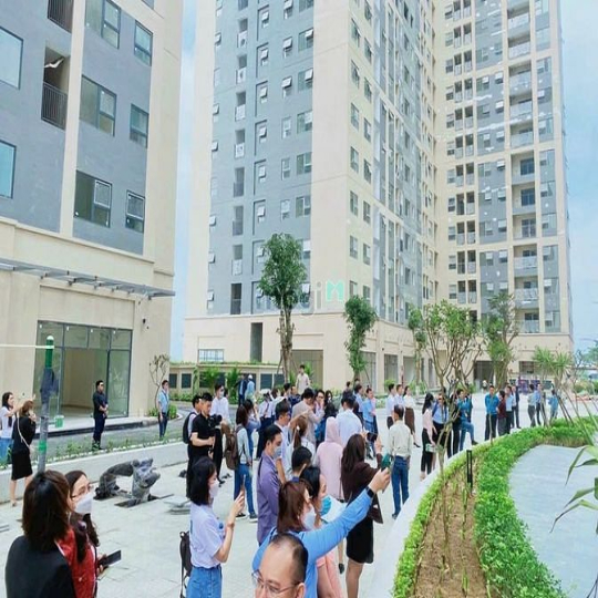 Mua được gì với tài chính 1,1 tỷ tại Đà Nẵng, thành phố đáng sống nhất