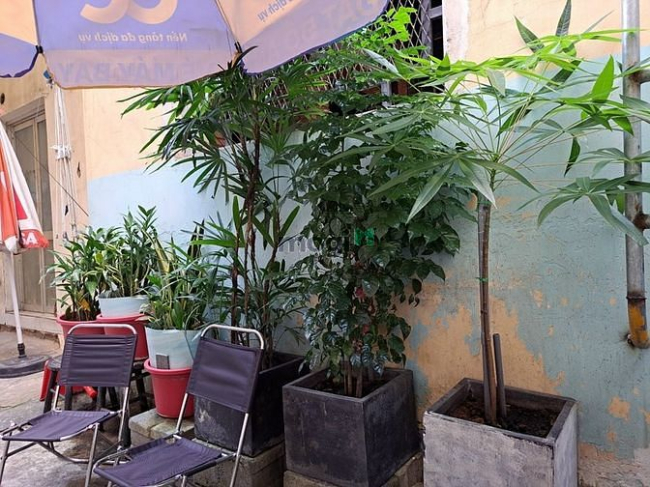 BIỆT THỰ HƠN 350M, NGANG 10M -Số 82 Lý Chính Thắng, Quận 3