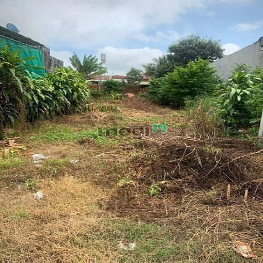 Đất đẹp hẻm H.Hòa Thành Tây Ninh vô 6 ngã đường đang lên nhựa  Dt 6 x