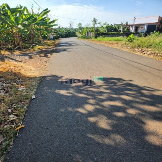 Bán 1003m, xã Thanh Bình, huyện Trảng Bom