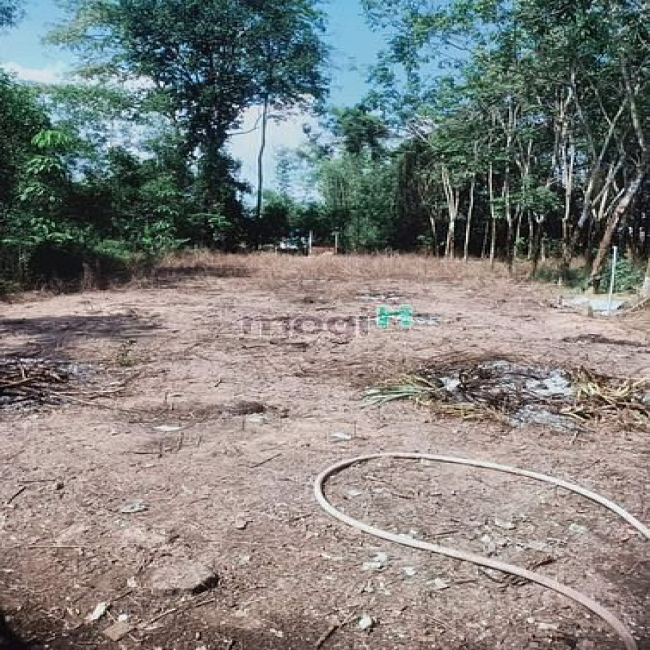 Thu hồi vốn bán đất diện tích 687,9m vuông, thổ cư 50m2 ở Gò Dầu TN