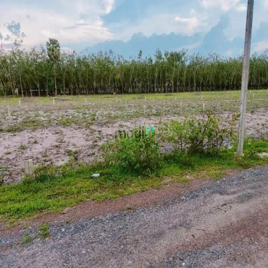 H.Tân Biên, Tây Ninh.Còn 1 lô cuối. Giá 170tr/lô. Có 65m thổ cư. Ngang