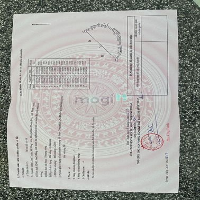 Đất CLN Hàm Thuận Bắc 12463m2 mặt tiền siêu rộng Sổ hồng