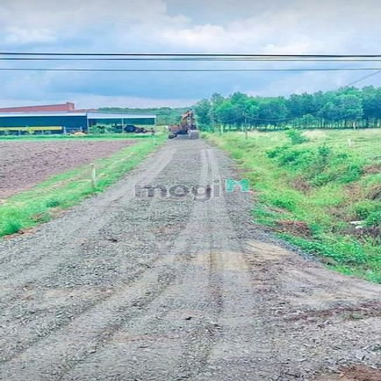 Chủ cần bán hơn 1 công đất có 100m2 thổ cư, Đất phủ hồng , cách nhựa l