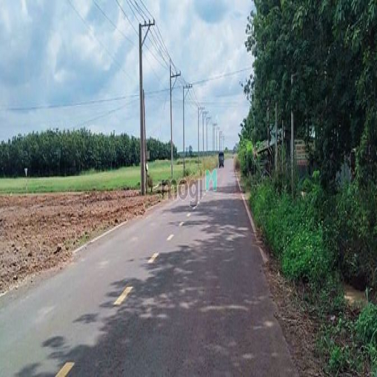 2 lô duy nhất liền kề khu công nghiệp. Dân cư đông đúc .