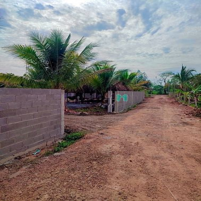 Hạ giá bán lỗ mảnh vườn cây ăn trái sổ sẵn, đường thông, xây bao sẵn.