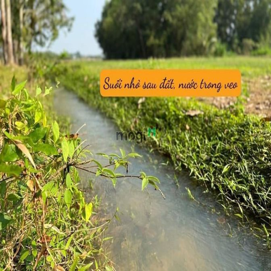 Về Sài Gòn rất gần ạ Gia Lộc - Tx Trảng Bàng Có 1 lô duy nhất giá rẻ b