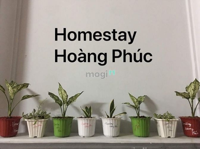 Ở ghép máy lạnh, tắm nước nóng: 350 Huỳnh tấn phát