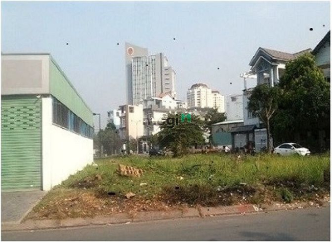 Cho thuê đất trống đường Nguyễn Thanh Sơn - Diện tích 15x20m