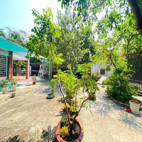 Nhà 2 MT đường thông Thạnh Lộc 41, DT:22x22m, hướng đông nam, Q12