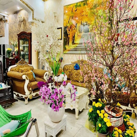 Biệt thự Sân vườn Thanh Đa Bình Thạnh 300m2 (15x20m) chỉ 25,48tỷ