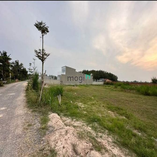 Càn 1 lô đường nhựa đường DT795, Tây Ninh giá rẻ 630 tr 260m2 thổ cư