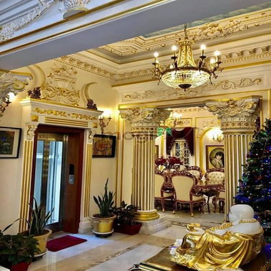 Bán Dinh Thự Đẳng Cấp 6 Sao Ngay Trung Tâm Quận 1, Đặc Biệt Hiếm!