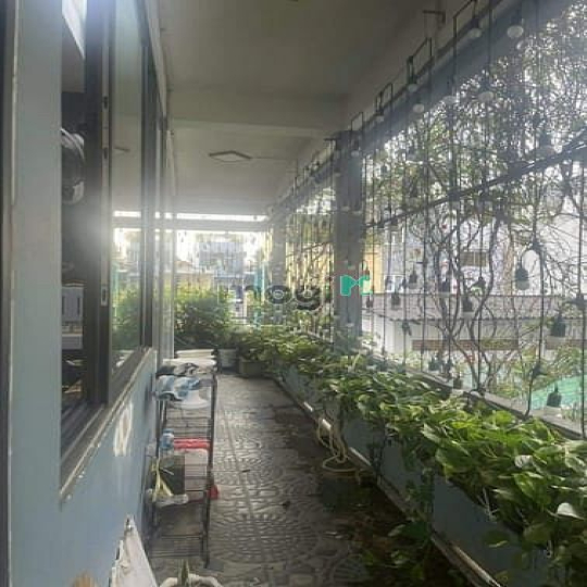 Biệt thự mini 104m2(11x11m) 554m2 xd 12 PN căn góc đường 7m Quận 11