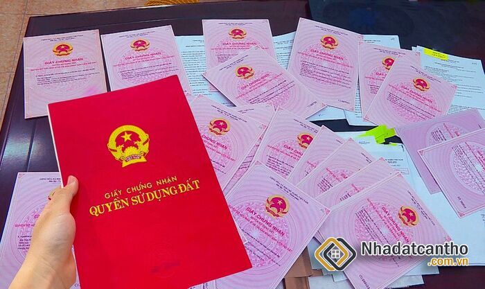 Đất Ở 20 Năm Không Có Tranh Chấp Sẽ Được Cấp Sổ Đỏ - Có Đúng Không?