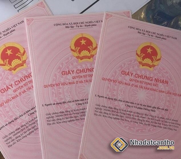 Người Việt định cư ở nước ngoài có được cấp sổ đỏ đất thừa kế?