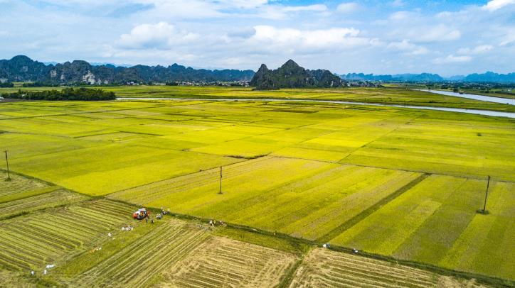 Về trình tự, thủ tục, thời hạn