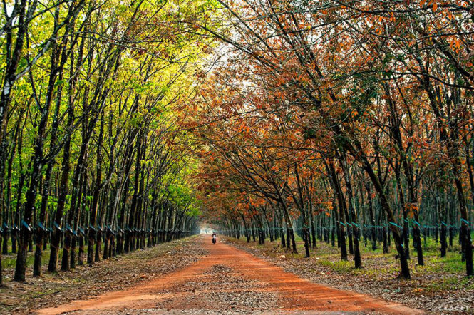 Vai Trò Của Đất LNC Vai Trò Của Đất LNC