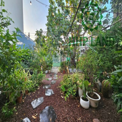 Cho thuê nhà sân vườn hơn 300m2 hẻm Hưng Đạo Vương gần cv Biên Hùng