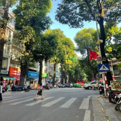 Bán nhà kinh doanh mặt phố Lò Đúc - Hai Bà Trưng, LÔ GÓC, 50m2, 25 tỷ