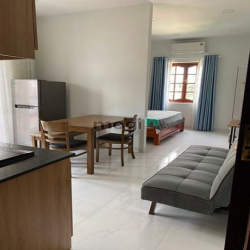 🔥THẢO ĐIỀN - Q2 - APARTMENT FOR RENT - đường Nguyễn Văn Hưởng, Quận 2