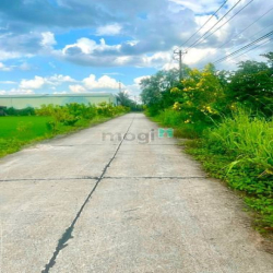 Đất trồng cây mặt tiền đường bê tông 6m quy hoạch đất ở